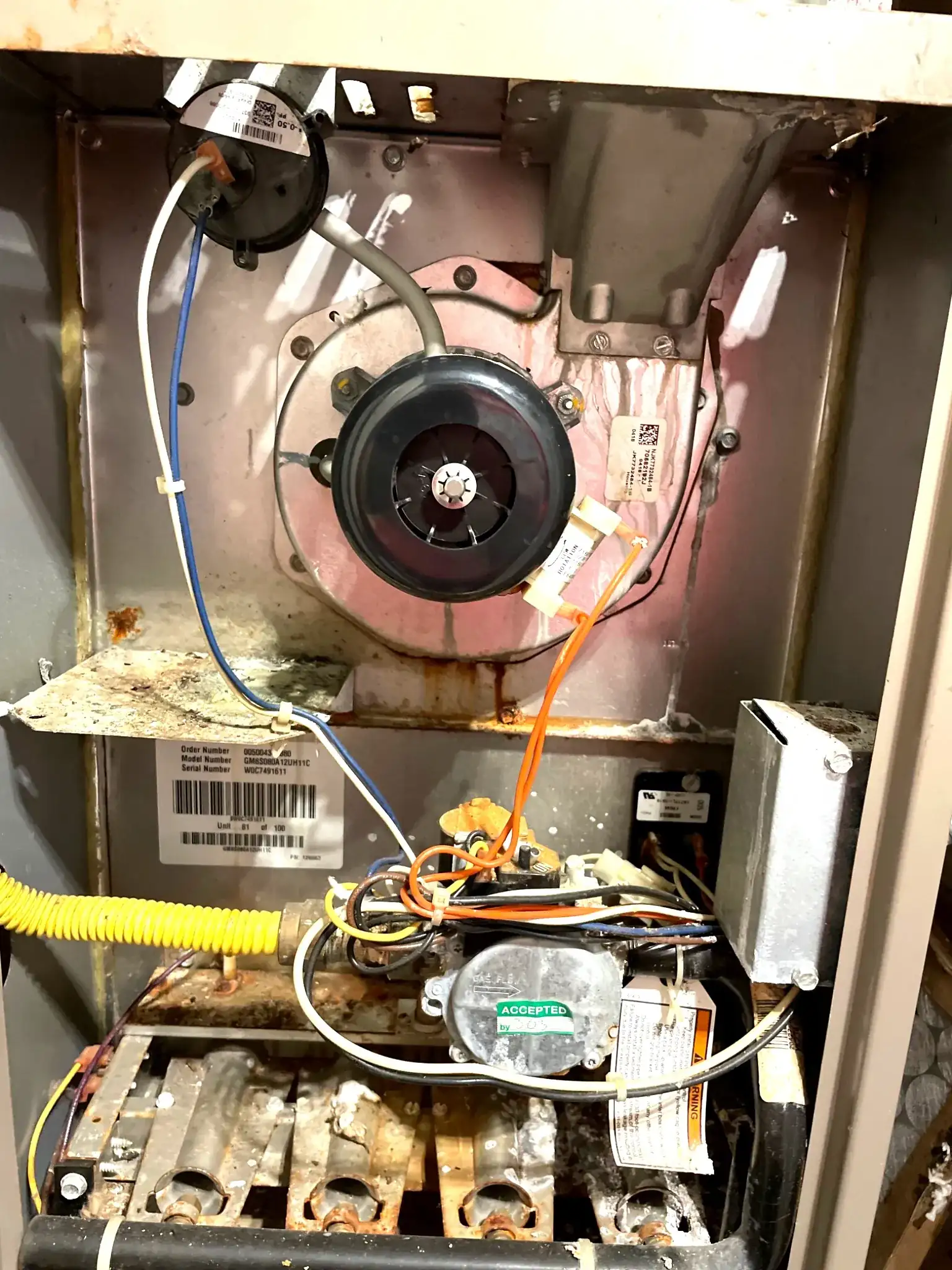 Dirty Furnace Inspection During AC Tune Up Dirty furnace interior found during an AC tune up inspection in Caddo Mills, TX